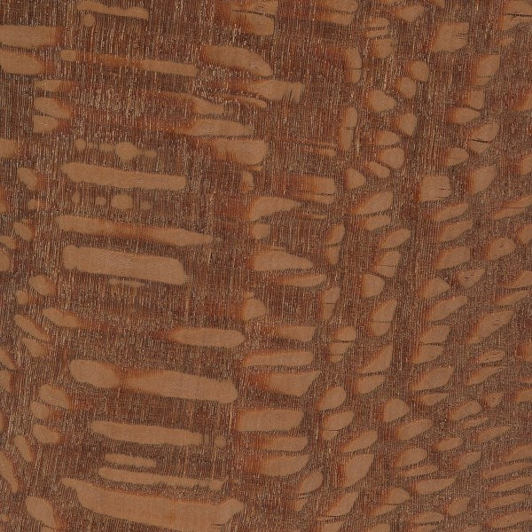Leopardwood, Lacewood