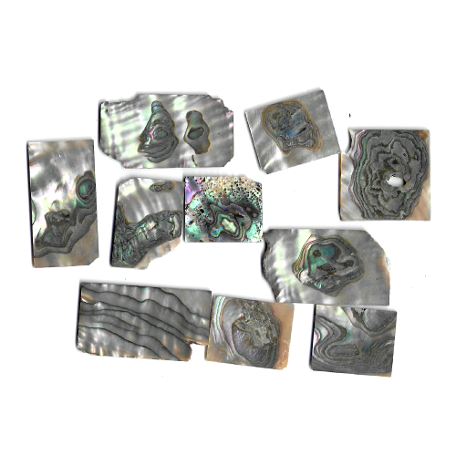 Solid Shell Sheets - A&M Wood Specialty