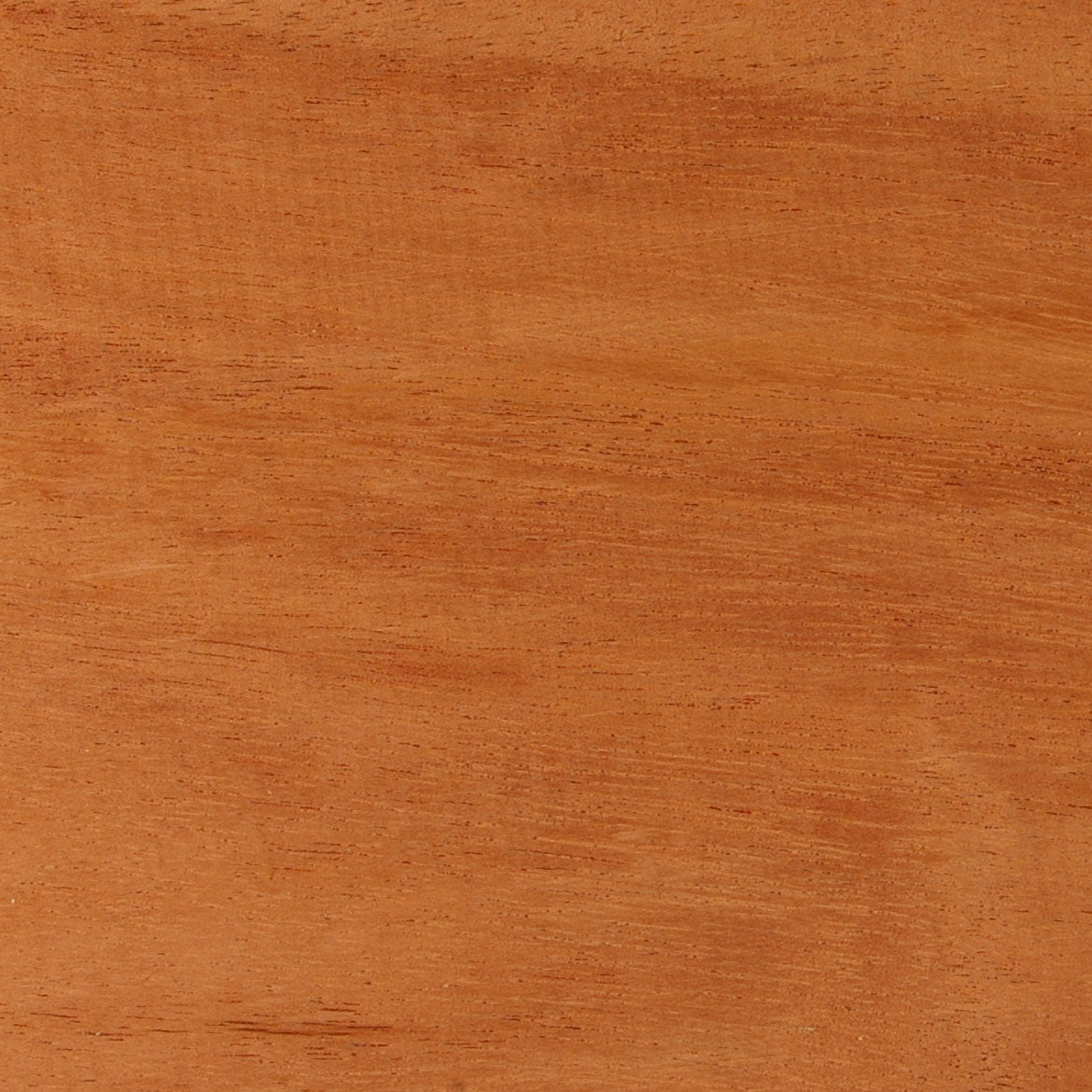 Khaya (African Mahogany) - A&M Wood Specialty