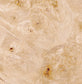 Big Leaf Maple Burl - A&M Wood Specialty
