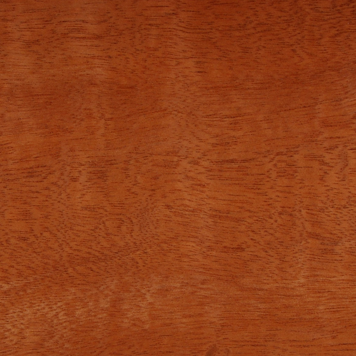 Sapele, (FC/Half Crown) veneer