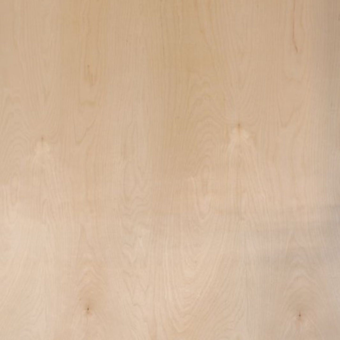 Pre-Finished Birch