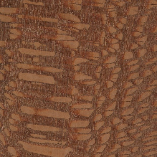 Leopardwood, Lacewood