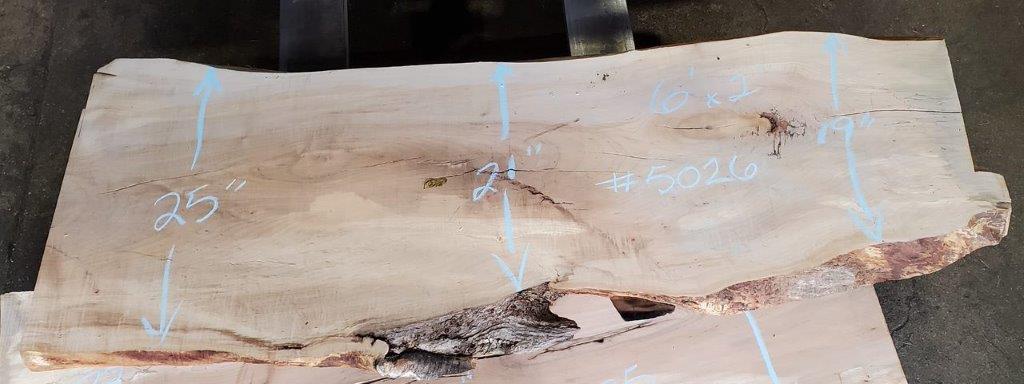 Maple, Hard #502x - A&M Wood Specialty