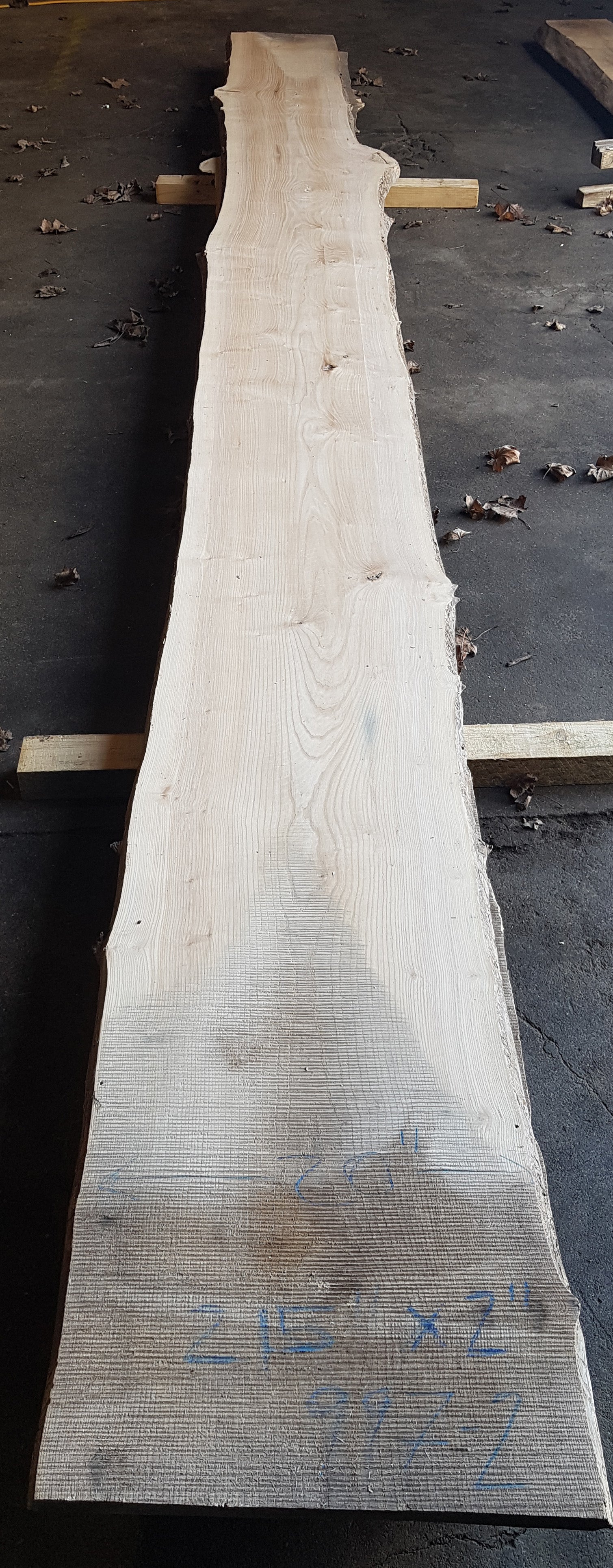 Ash, White #997 - A&M Wood Specialty